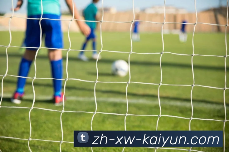 开云appAPP 封面图